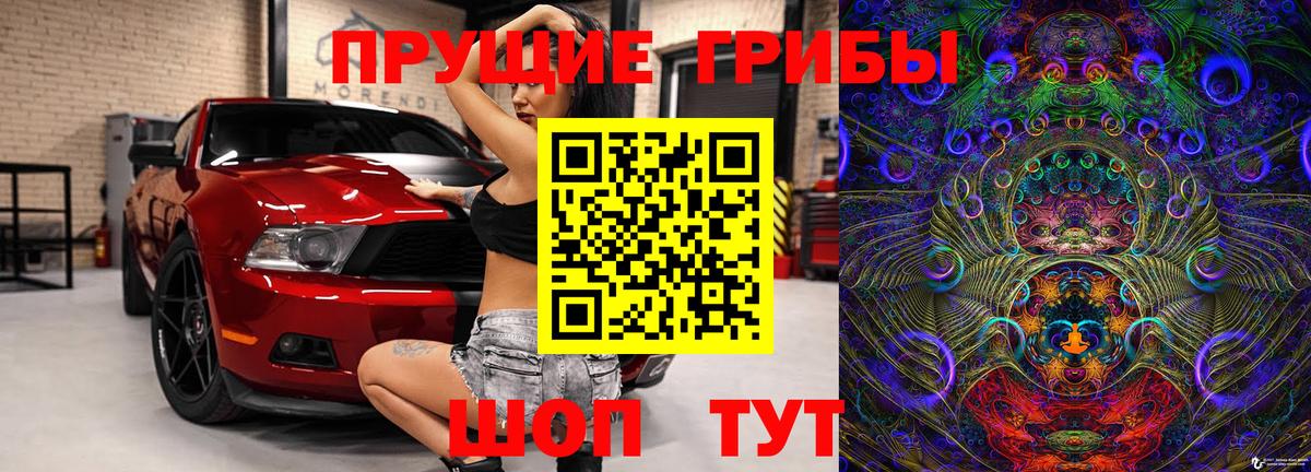Галлюциногенные грибы Psilocybe Еманжелинск