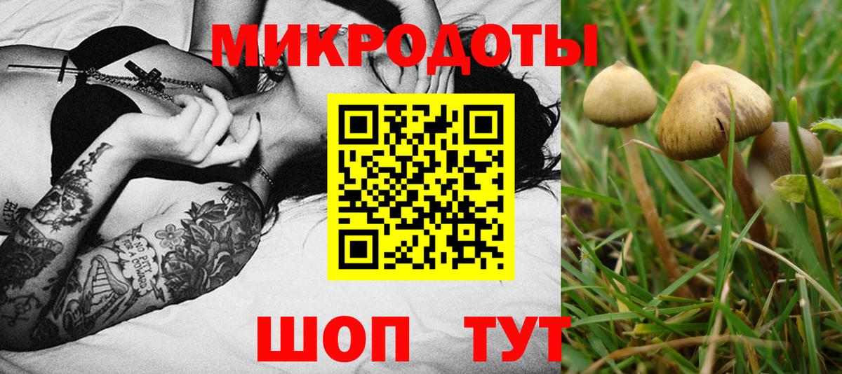 Еманжелинск  Галлюциногенные грибы MAGIC MUSHROOMS  Вход с VPN 